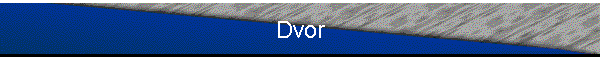 Dvor